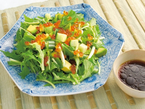 Colorful Salad / 彩りサラダ